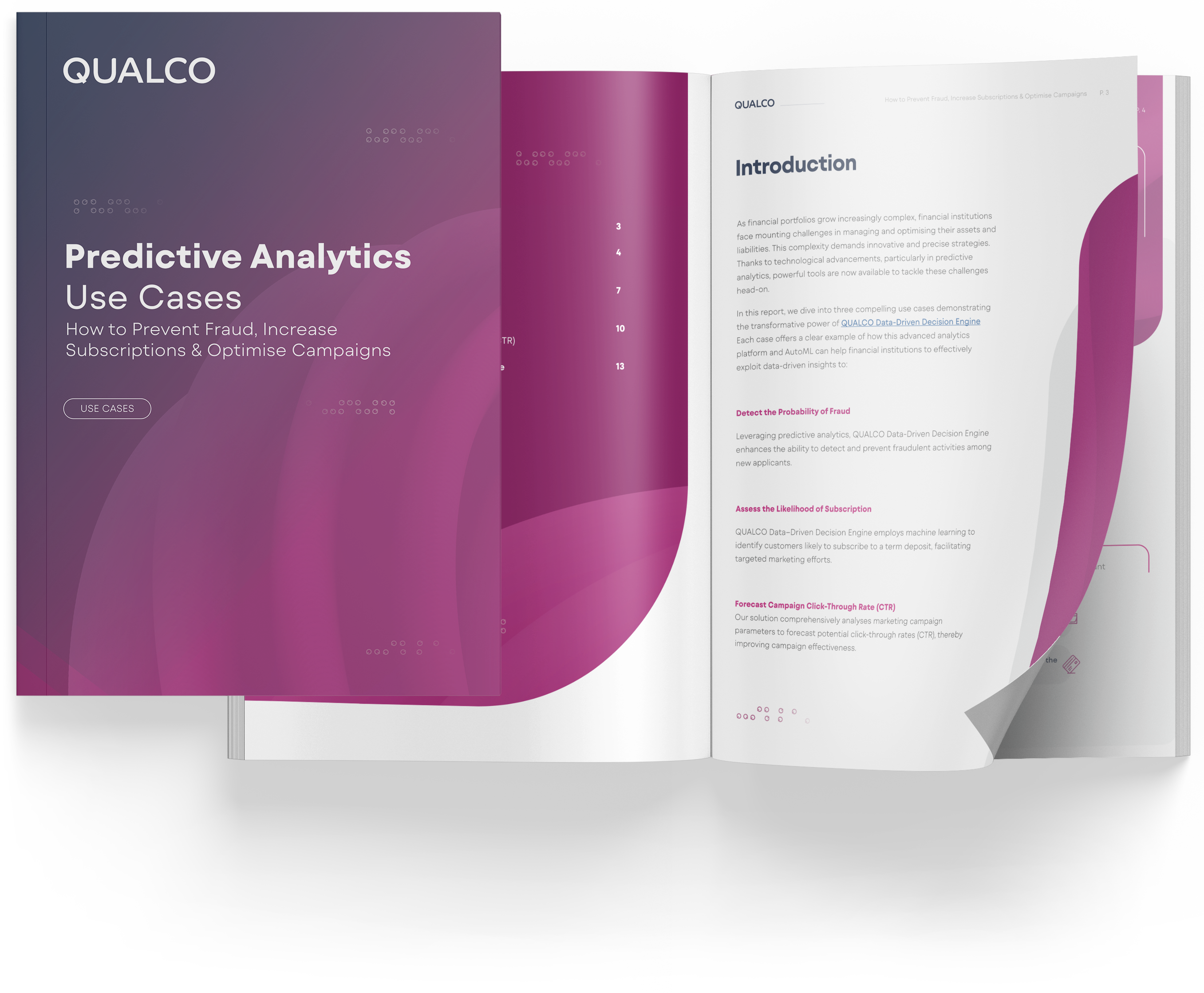 Predictive Analytics Use Cases How to Prevent Fraud, Increase  Subscriptions & Optimise Campaigns_Newsletter